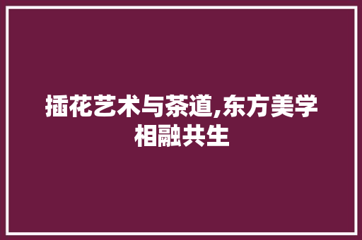 插花艺术与茶道,东方美学相融共生