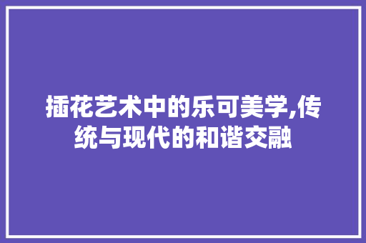 插花艺术中的乐可美学,传统与现代的和谐交融