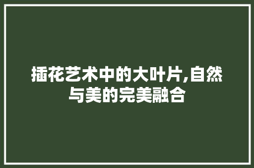 插花艺术中的大叶片,自然与美的完美融合