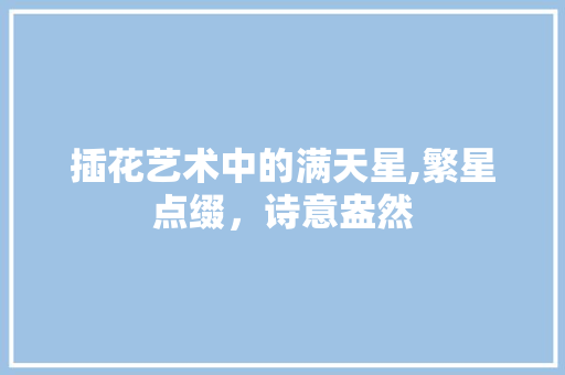 插花艺术中的满天星,繁星点缀，诗意盎然