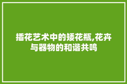 插花艺术中的矮花瓶,花卉与器物的和谐共鸣