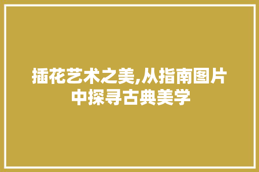 插花艺术之美,从指南图片中探寻古典美学 家禽养殖