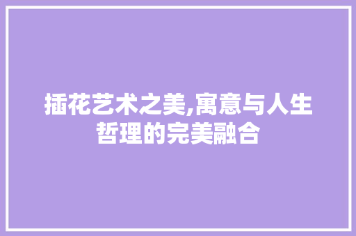 插花艺术之美,寓意与人生哲理的完美融合