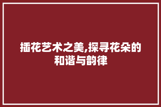 插花艺术之美,探寻花朵的和谐与韵律