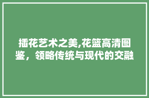 插花艺术之美,花篮高清图鉴，领略传统与现代的交融