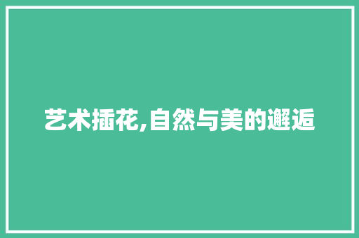 艺术插花,自然与美的邂逅 土壤施肥