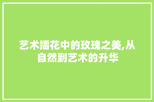 艺术插花中的玫瑰之美,从自然到艺术的升华 蔬菜种植