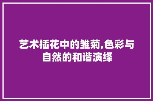 艺术插花中的雏菊,色彩与自然的和谐演绎 水果种植