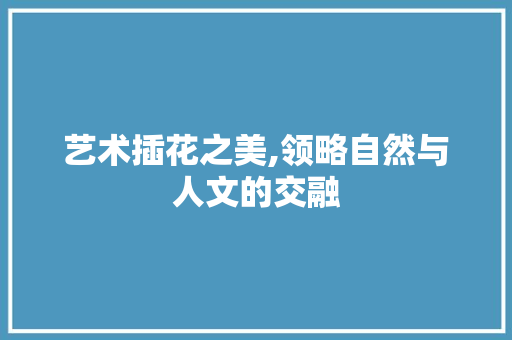 艺术插花之美,领略自然与人文的交融 土壤施肥