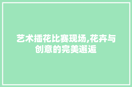 艺术插花比赛现场,花卉与创意的完美邂逅 土壤施肥