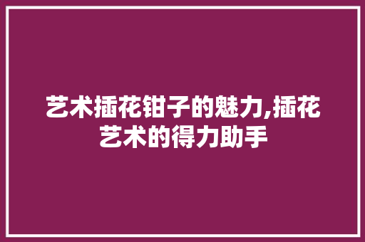 艺术插花钳子的魅力,插花艺术的得力助手