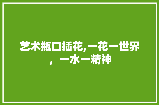 艺术瓶口插花,一花一世界，一水一精神 土壤施肥