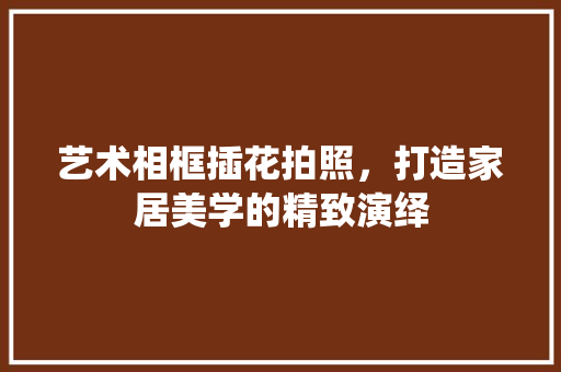 艺术相框插花拍照，打造家居美学的精致演绎 水果种植