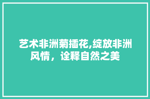 艺术非洲菊插花,绽放非洲风情，诠释自然之美 土壤施肥