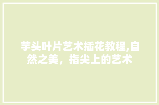 芋头叶片艺术插花教程,自然之美，指尖上的艺术 土壤施肥