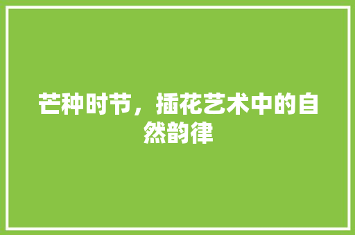 芒种时节，插花艺术中的自然韵律 土壤施肥