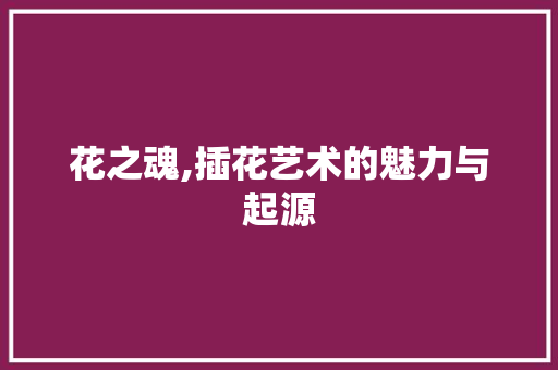 花之魂,插花艺术的魅力与起源 蔬菜种植