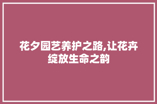 花夕园艺养护之路,让花卉绽放生命之韵 土壤施肥