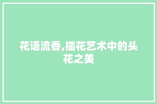 花语流香,插花艺术中的头花之美 土壤施肥