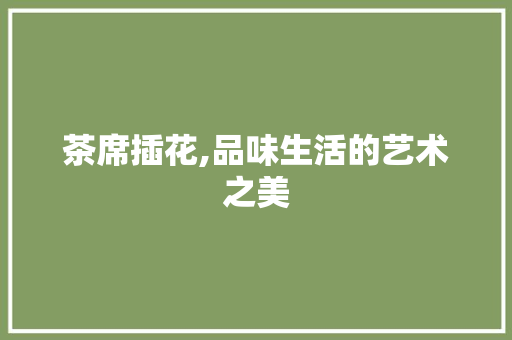 茶席插花,品味生活的艺术之美 土壤施肥