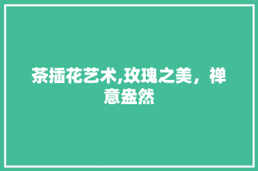 茶插花艺术,玫瑰之美，禅意盎然 水果种植