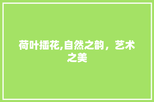 荷叶插花,自然之韵，艺术之美 水果种植