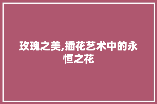 玫瑰之美,插花艺术中的永恒之花 土壤施肥