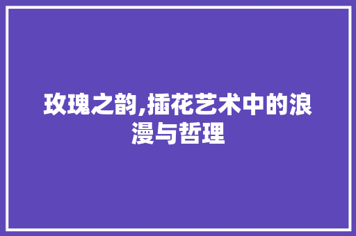 玫瑰之韵,插花艺术中的浪漫与哲理 水果种植