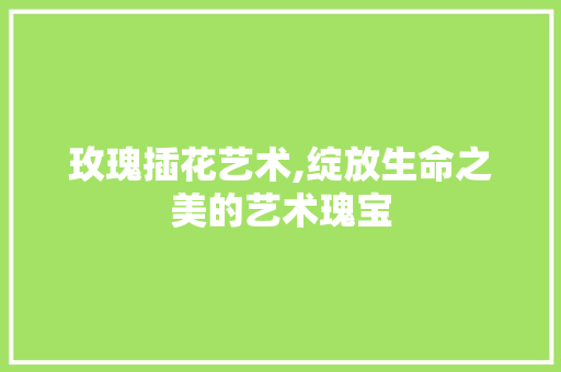 玫瑰插花艺术,绽放生命之美的艺术瑰宝 水果种植