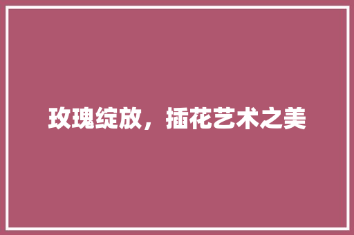 玫瑰绽放，插花艺术之美 畜牧养殖