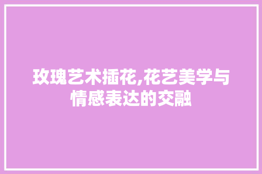 玫瑰艺术插花,花艺美学与情感表达的交融 家禽养殖