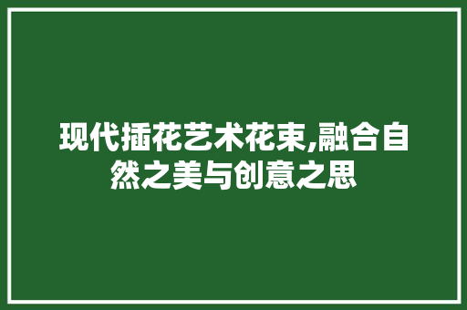 现代插花艺术花束,融合自然之美与创意之思 土壤施肥