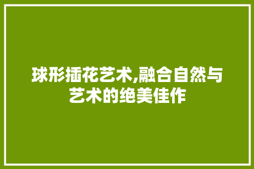 球形插花艺术,融合自然与艺术的绝美佳作 蔬菜种植