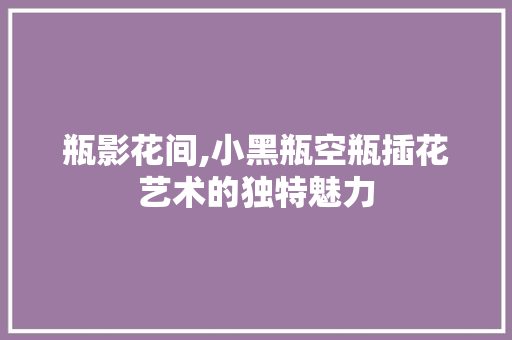 瓶影花间,小黑瓶空瓶插花艺术的独特魅力 畜牧养殖