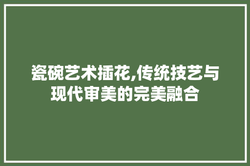 瓷碗艺术插花,传统技艺与现代审美的完美融合 家禽养殖