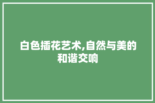 白色插花艺术,自然与美的和谐交响 土壤施肥