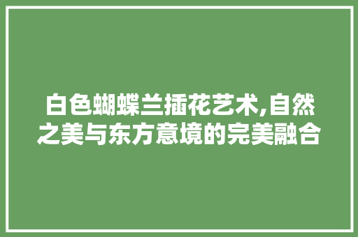 白色蝴蝶兰插花艺术,自然之美与东方意境的完美融合 土壤施肥