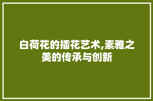 白荷花的插花艺术,素雅之美的传承与创新 水果种植