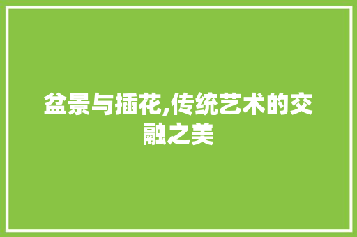 盆景与插花,传统艺术的交融之美 水果种植