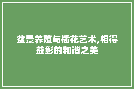 盆景养殖与插花艺术,相得益彰的和谐之美 土壤施肥