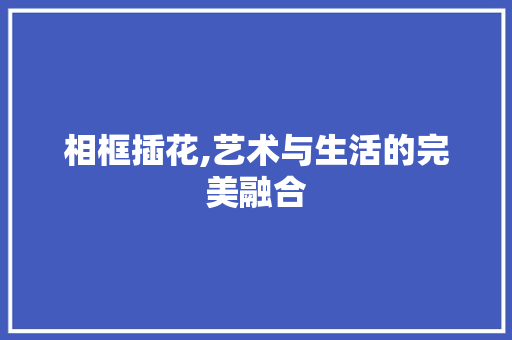 相框插花,艺术与生活的完美融合 土壤施肥