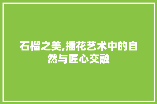 石榴之美,插花艺术中的自然与匠心交融 水果种植