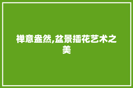 禅意盎然,盆景插花艺术之美 水果种植