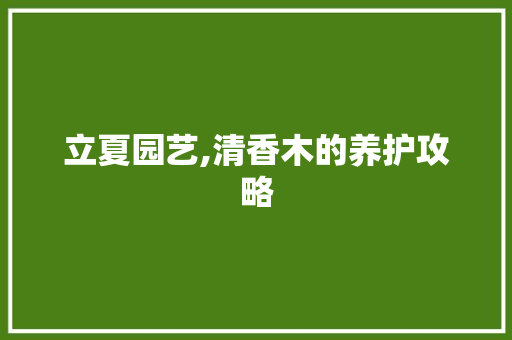 立夏园艺,清香木的养护攻略 蔬菜种植