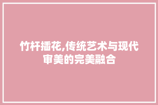 竹杆插花,传统艺术与现代审美的完美融合 土壤施肥