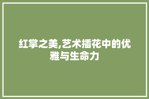 红掌之美,艺术插花中的优雅与生命力 水果种植