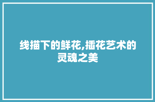 线描下的鲜花,插花艺术的灵魂之美 土壤施肥