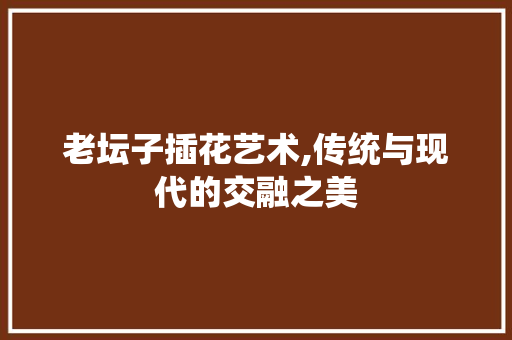 老坛子插花艺术,传统与现代的交融之美 土壤施肥