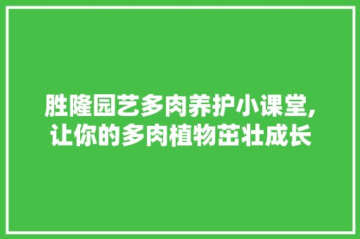 胜隆园艺多肉养护小课堂,让你的多肉植物茁壮成长 土壤施肥