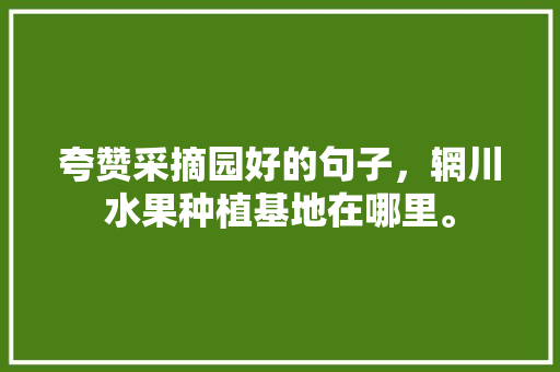 夸赞采摘园好的句子，辋川水果种植基地在哪里。